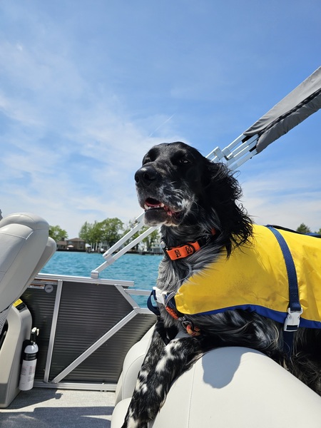 Entry image for Zeke (formerly Spithas). Clicking this image will show a larger photo