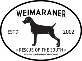 Logo for Weimaraner Rescue of the South’s 2027 Calendar Contest