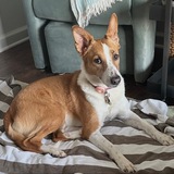Entry image for Millie