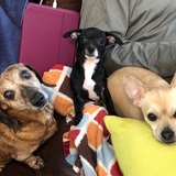 Entry image for Aubrie, Bodie Clyde, Paris HIlton