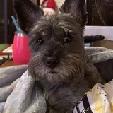 Entry image for Murphey