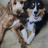 Entry image for Fern & Lagniappe
