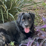 Entry image for Ellie Mae 