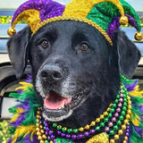 Entry image for Lulu