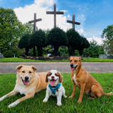 Entry image for Toby, Garth and Missi