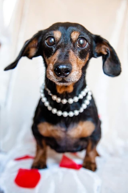 Entry image for Zada. Clicking this image will show a larger photo