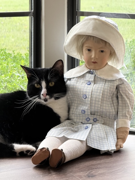 Entry image for Teddy. Clicking this image will show a larger photo