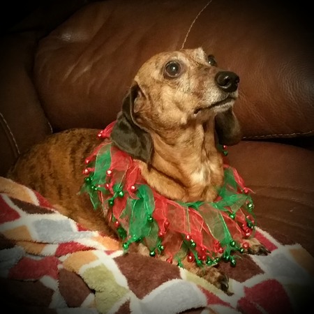 Entry image for Aubrie. Clicking this image will show a larger photo