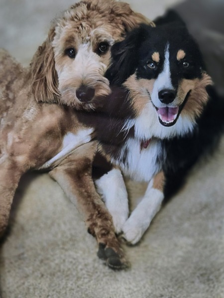 Entry image for Fern & Lagniappe. Clicking this image will show a larger photo
