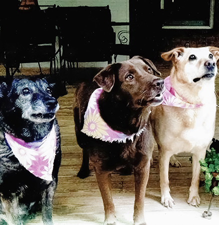 Entry image for Angel, Faith & Sandy. Clicking this image will show a larger photo