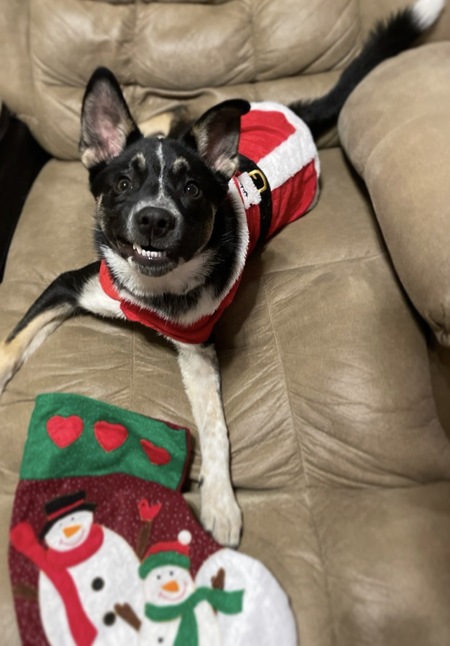 Entry image for Cooper . Clicking this image will show a larger photo