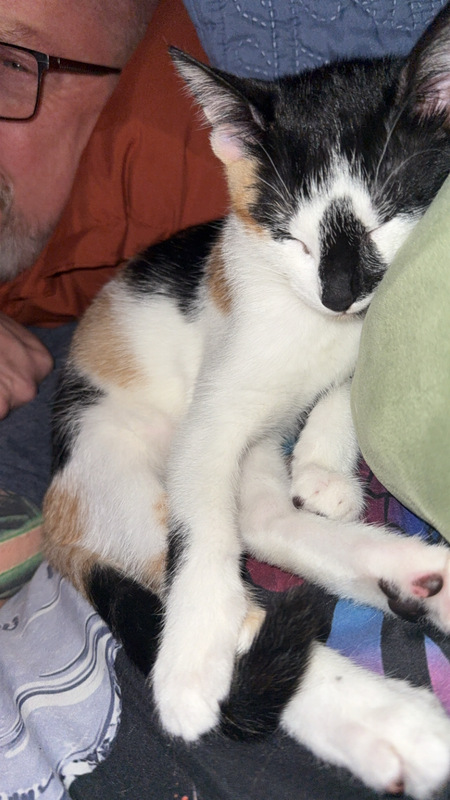 Entry image for Gilly. Clicking this image will show a larger photo