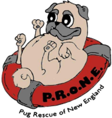 Logo for Pug Rescue of New England 2027 Calendar Contest