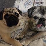 Entry image for Olivia and Kirby