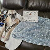 Entry image for BUDDY 