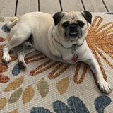 Entry image for Otis