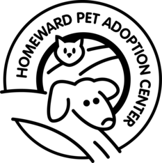 Logo for Kitten Naming Contest