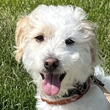 Entry image for Benny