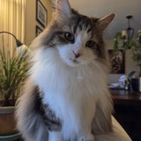 Entry image for Maezy Mae