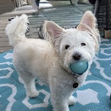 Entry image for Ernie