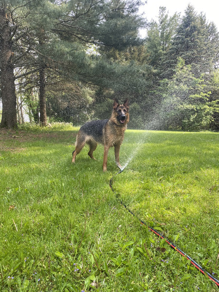Entry image for Reyna. Clicking this image will show a larger photo