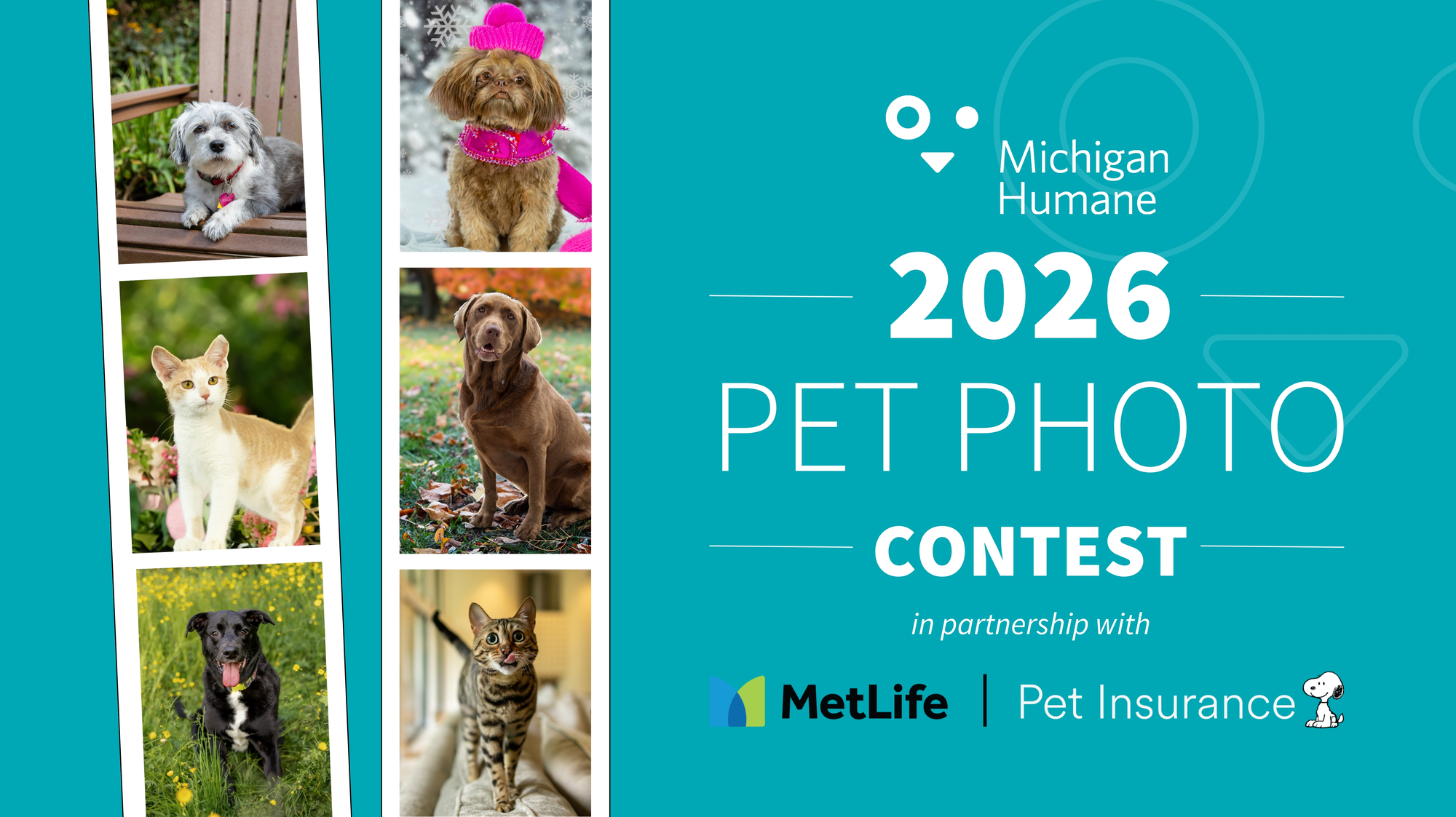 Banner for 2026 Michigan Humane Pet Photo Contest