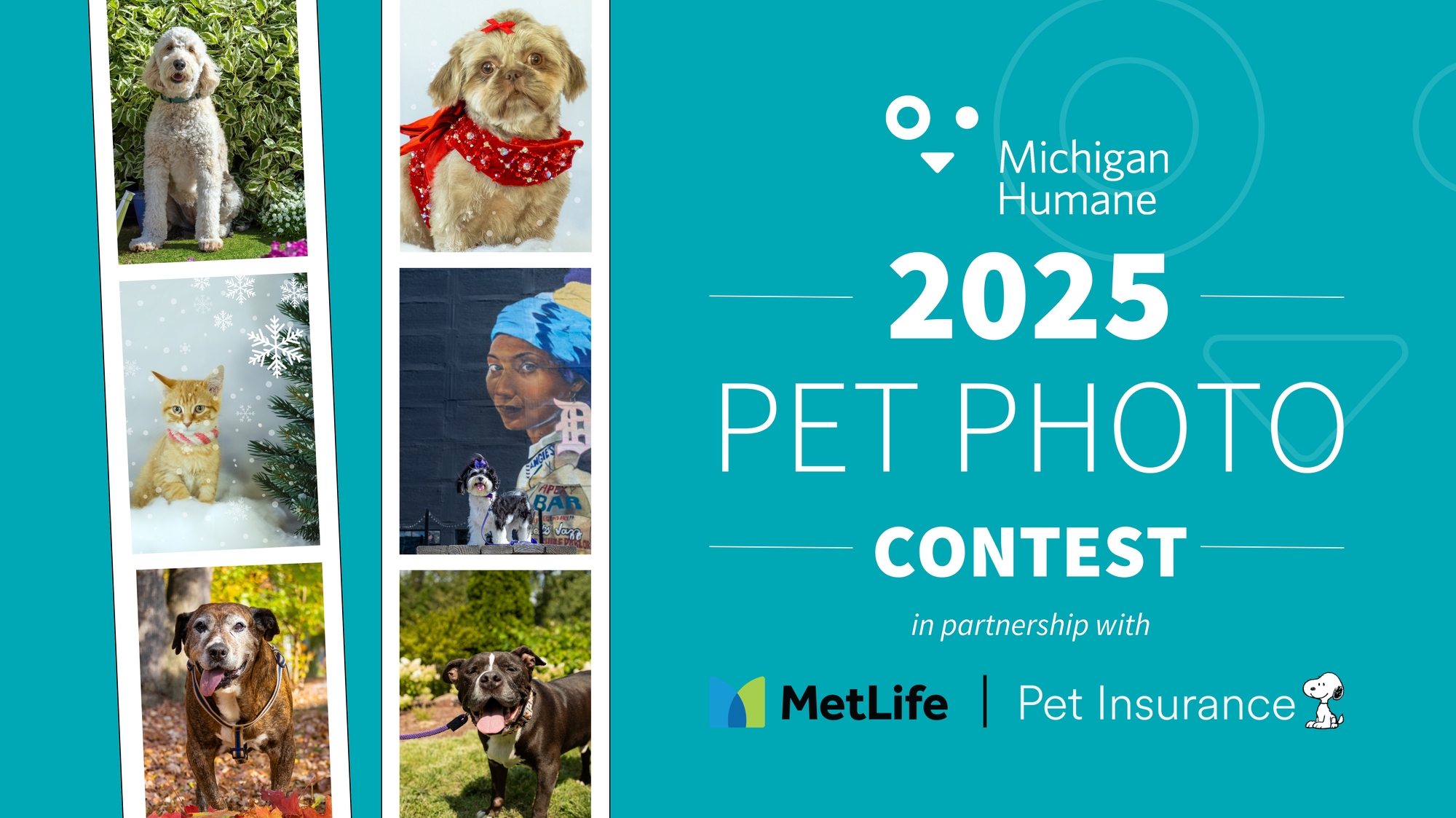 Banner for 2026 Michigan Humane Pet Photo Contest