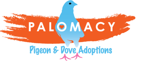 Logo for Palomacy 2027 Calendar Fundraiser