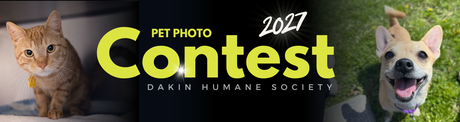 Banner for Dakin Humane Society's 2027 Pet Photo Contest