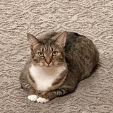 Entry image for Maisy Mason