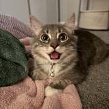 Entry image for Oliver
