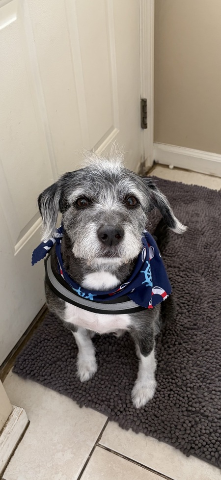 Entry image for Roscoe . Clicking this image will show a larger photo