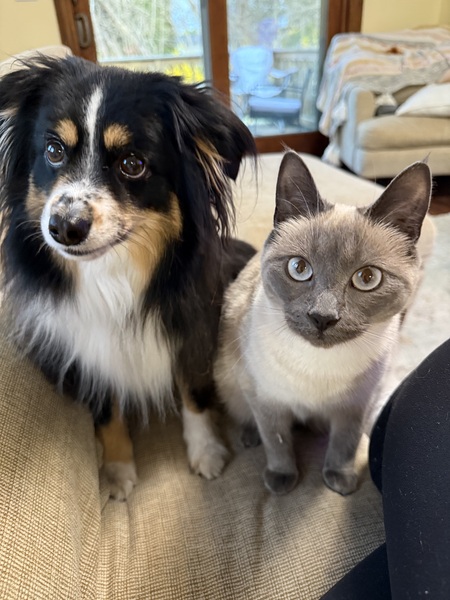 Entry image for Zinnia & Luna . Clicking this image will show a larger photo
