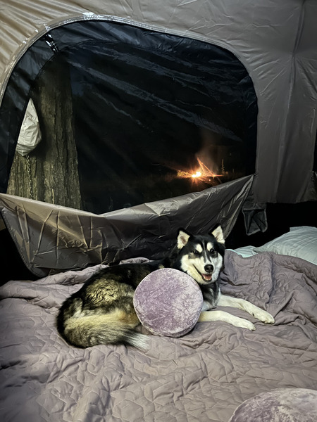 Entry image for Jericho. Clicking this image will show a larger photo