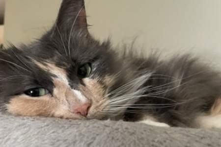 Entry image for Margot. Clicking this image will show a larger photo