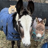 Entry image for Kelly, Kassie, and ET