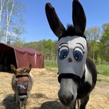 Entry image for Kelly and Kassie 