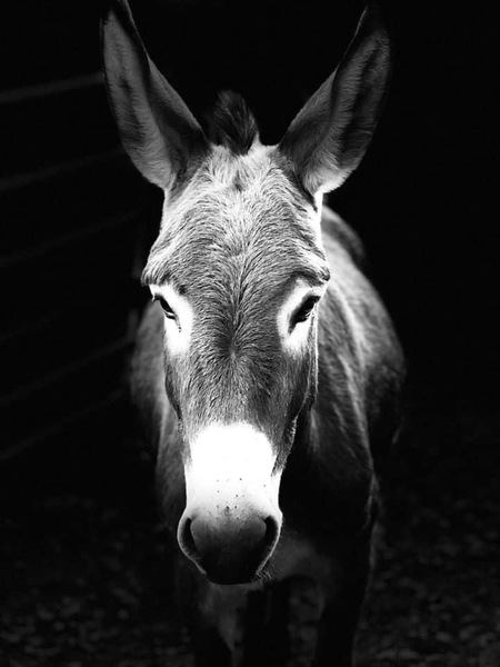 Entry image for August. Clicking this image will show a larger photo