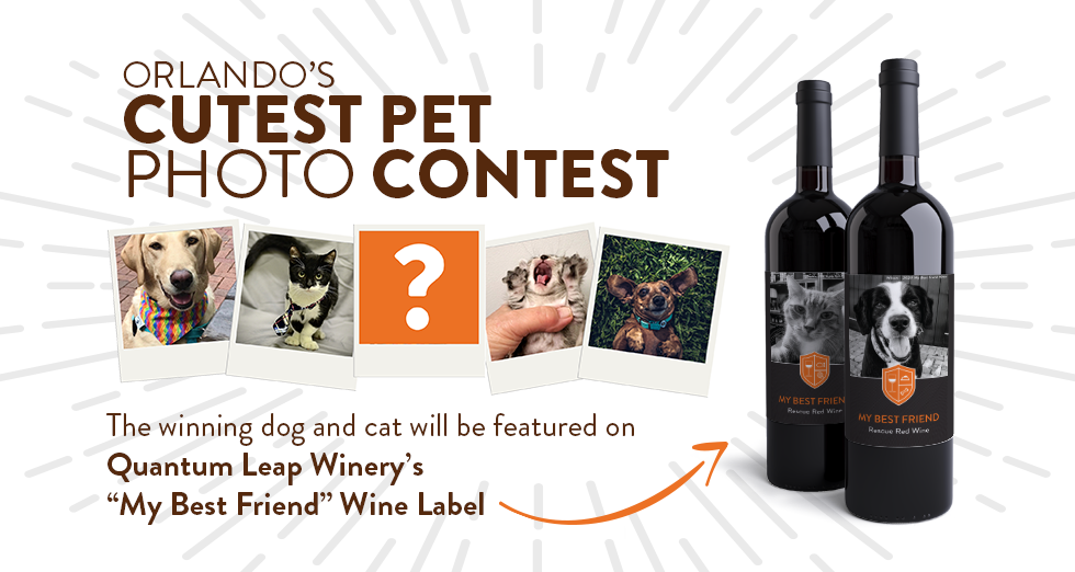 Banner for My Best Friend Wine Label Contest