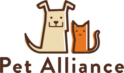 Logo for My Best Friend Wine Label Contest
