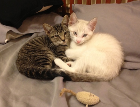 Biscuit and Maggie