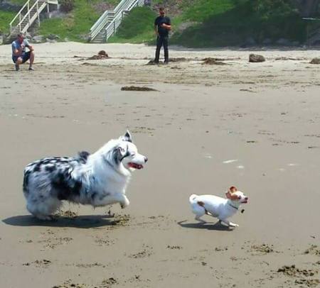 Libby & Chipper