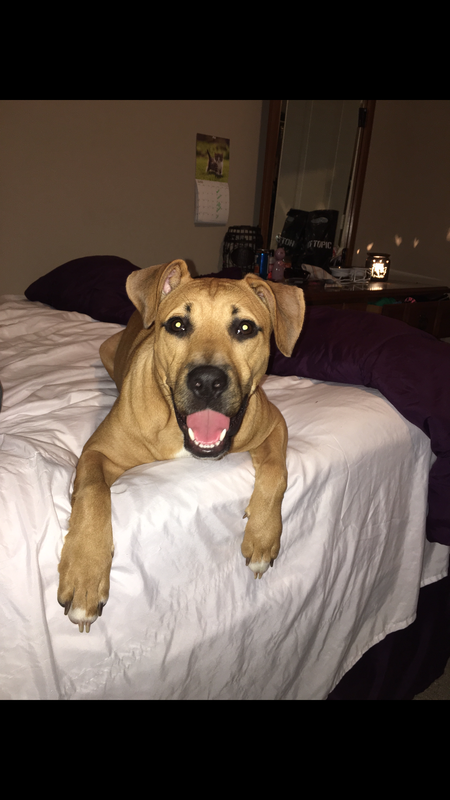 Freya