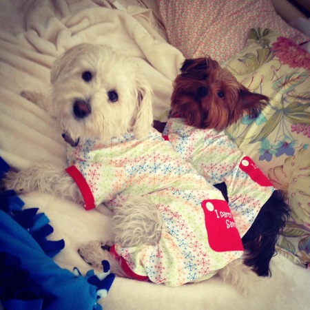 Preston and Kona