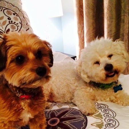Giselle and Teddy