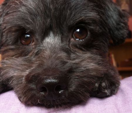 Harry