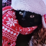 Entry image for Tucker
