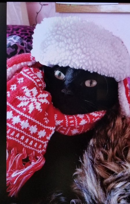 Entry image for Tucker. Clicking this image will show a larger photo