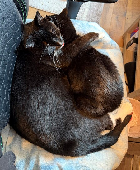 Entry image for Len and Storm. Clicking this image will show a larger photo