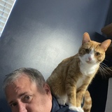 Entry image for Jeff and Rocco